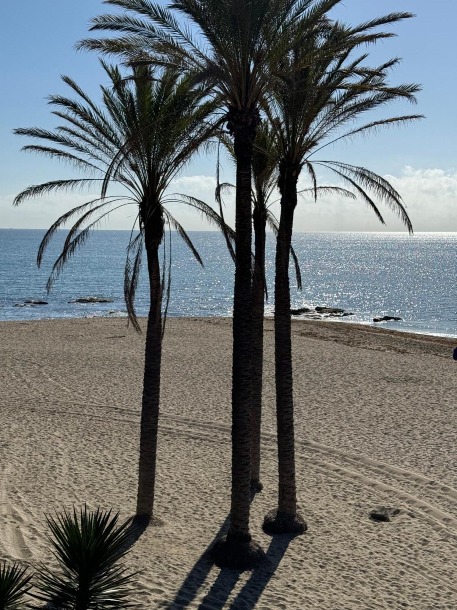 Brand New Studio Benalmádena Exterior foto